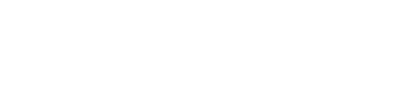 Turbo Websites